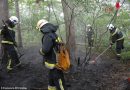 Nö: Waldbrand nahe der Burg Liechtenstein in Maria Enzersdorf