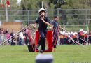 Nö: Feuerwehrleistungsbewerb 2017 im Bezirk Mödling