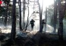 Nö: Waldbrand hinter Gasthaus Bockerl in Mödling