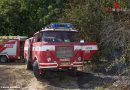 Nö: Tschechische und Österreichische Feuerwehrmitglieder löschten Waldbrand an Grenze