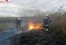 Bgld: Schilfbrand drohte sich auf gelagertes Brennholz auszubreiten