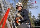 Oö: Feuerwehr holt umtriebige Katze vom Baum