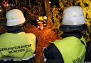 D: Baum droht umzustürzen -> Baum mittels Mobilkran entfernt