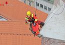 Bayern: Höhenretter befreien in Netz feststeckenden Turmfalken