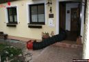 Oö: Hornissennest in Kamin führt zu Verrauchung in Wohnhaus