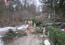 Oö: Umgestürzte Bäume blockieren Straße in Pfandl