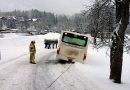 Oö: Autobus kam bei Ausweichmanöver von der Straße ab