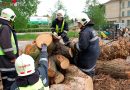 Bgld: Übungsnachmittag auf einem ehemaligen Kasernengelände