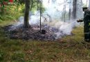 Nö: Umsichtiges Handeln eines Jägers verhindert Waldbrandausbreitung