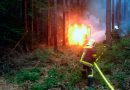 Nö: Traktorvollbrand mitten im Wienerwald