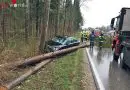 Oö: Großes Glück für Fahrzeuglenkerin – zwei Bäume stürzten auf die L549 Almseestraße