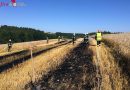 Oö: Mehrere hundert Meter langer Feldbrand