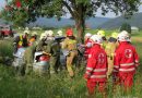 Oö: Tödlicher Verkehrsunfall auf der Oberwanger Landestraße