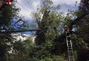 Nö: Baum drohte auf ein Mobilheim zu stürzen