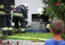 Oö: Feuerwehr rettet einen Hasen aus verrauchter Wohnung