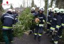 Oö: Tief “Niklas” zieht auch an der Welser Feuerwehr nicht spurlos vorüber