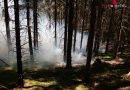 Ktn: Mehrere Feuerwehren bei Waldbrand im Einsatz