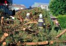 Stmk: Langwierige Aufräumarbeiten nach Unwetter über Knittelfeld