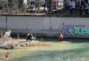 Bayern: Münchner Feuerwehr hilft Schwan in Notlage
