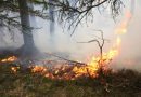 Nö: Alarmstufe III bei Waldbrand im steilen Gelände in Türnitz