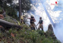 Oö: Waldbrand durch Blitzschlag am Feuerkogel