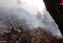 Tirol: Kleiner Waldbrand nach Blitzschlag führte zu mehrstündigem Einsatz der FF Eben am Achensee