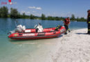 Oö: Feuerwehreinsatz bei verletztem Schwan am Badesee 3 in Feldkirchen/Donau