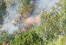 Oö: Waldbrand im Gebiet des Almkogels bei St. Lorenz