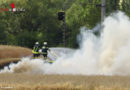 Oö: Zwei Feuerwehren bekämpfen Feldbrand in Marchtrenk
