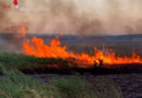 Bgld: Ausgedehnter Schilfbrand nahe Mörbischer Seebühne