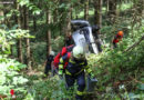 Oö: Pkw in Molln in steiles Waldstück gestürzt