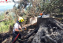 Stmk: Waldbrand in Oberaich aus 10 km Entfernung entdeckt