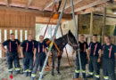 Stmk: Feuerwehr stellt Pferd mittels Gerüst wieder auf die Beine