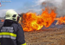 Nö: Abgeerntetes Feld sowie mehrere Rund-Strohballen abgebrannt