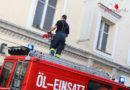 Oö: Feuerwehreinsatz bei geschwächter Taube in Wels