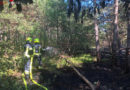 Nö: Waldbrand für vier Feuerwehren wurde rasch gelöscht
