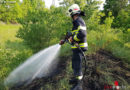 Nö: Brand am Bahndamm in Wiener Neustadt