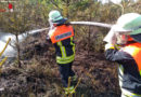 D: Waldfläche brannte auf etwa 2.000 Quadratmeter