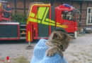 D: Babykatze von Feuerwehr vom Dach geholt