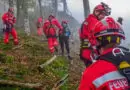 Oö: Handyortung führt Einsatzkräfte zu verstiegener Frau im Kürnbergwald