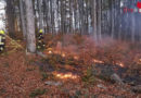 Nö: 17-jähriger Segelpilot entdeckt Waldbrand bei Sulz