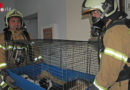 Oö: Kaninchen und Katze bei Wohnungsbrand in Linz gerettet