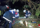 Nö: FF St. Margerethen/S. beübt „Person klemmt unter Baum“