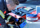 Nö: Schwechater Feuerwehrleute erhalten Tierrettungsmedaille und Spezialausrüstung