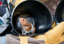 Bayern: Hamsterdame bei Zimmerbrand in München gerettet