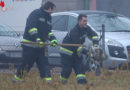 Oö: Hilfloser Schwan in Wels von der Feuerwehr eingefangen