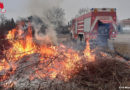 Nö: Illegale Schnittgutverbrennung führt zu Feuerwehreinsatz in Wr. Neustadt