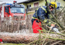 Stmk: Februar-Sturm in der Steiermark