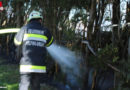 Stmk: Brennende Thujenhecke in Pölfing-Brunn