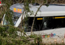 Schweiz: S-Bahn kracht in umgestürzten Baum